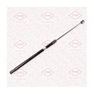 TAF1194 TATSUMI
