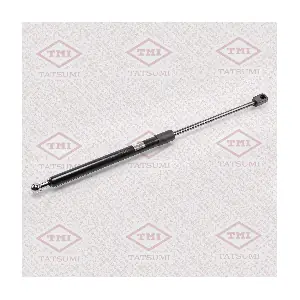 TAF1058 TATSUMI