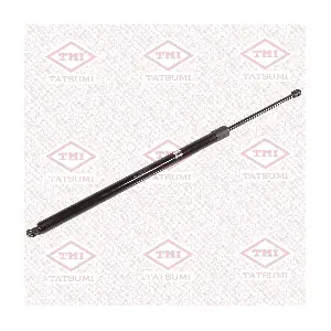 TAF1246 TATSUMI
