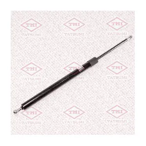 TATSUMI TAF1069