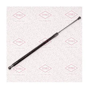 TAF1066 TATSUMI