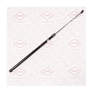 TAF1121 TATSUMI