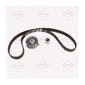 TFE1060 TATSUMI