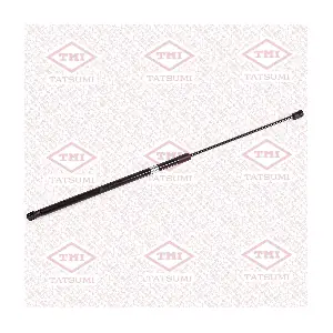 TAF1242 TATSUMI