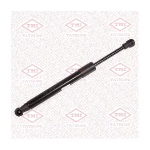 TAF1240 TATSUMI