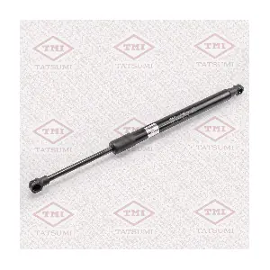 TAF1010 TATSUMI
