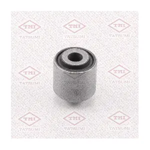 TEF1055 TATSUMI