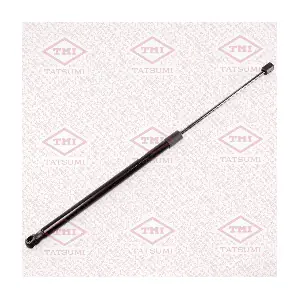 TAF1101 TATSUMI