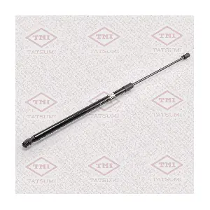 TAF1016 TATSUMI