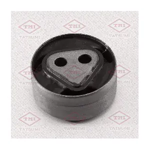 TEG1025 TATSUMI