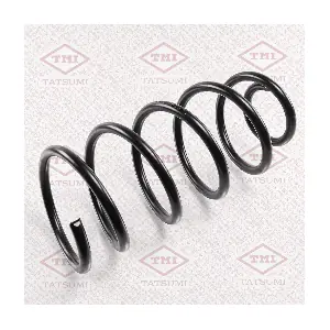 TAE1011 TATSUMI