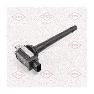THG1100 TATSUMI