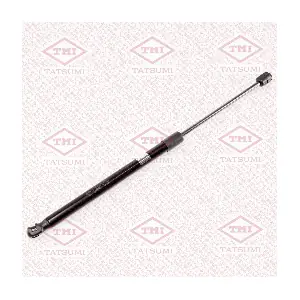 TAF1186 TATSUMI