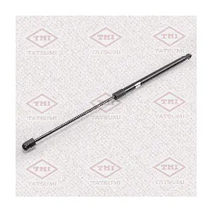 TAF1032 TATSUMI