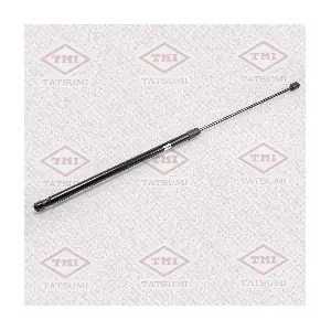 TAF1005 TATSUMI