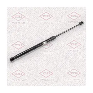 TATSUMI TAF1019