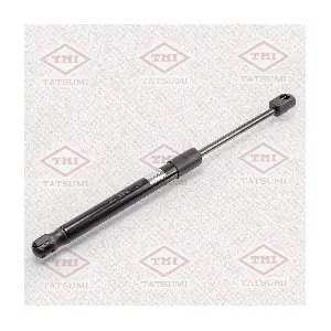 TATSUMI TAF1034