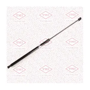 TAF1063 TATSUMI