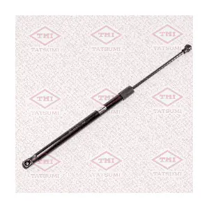 TAF1074 TATSUMI