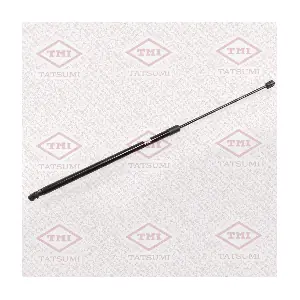 TATSUMI TAF1109
