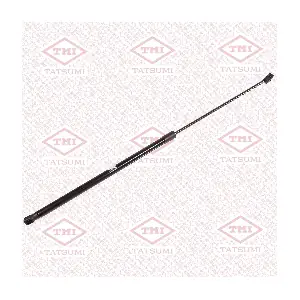 TAF1215 TATSUMI