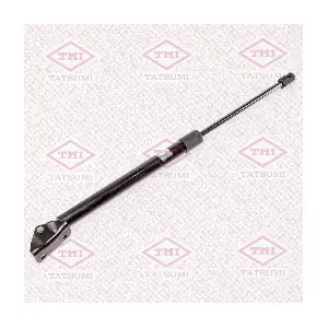 TAF1067 TATSUMI