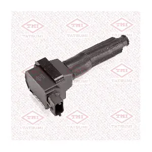 THG1160 TATSUMI