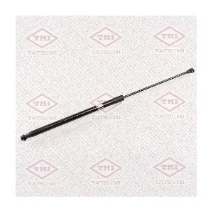 TAF1097 TATSUMI