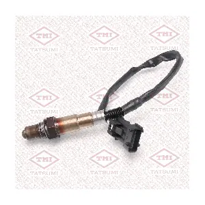 TATSUMI THL0059