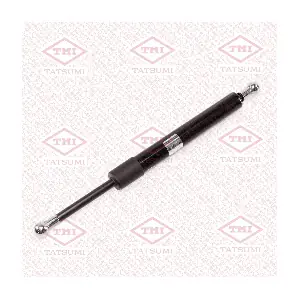 TAF1110 TATSUMI