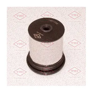TATSUMI TBF1025