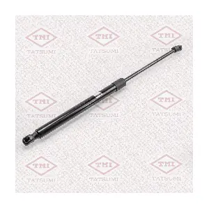 TAF1008 TATSUMI