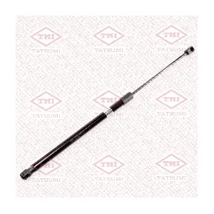 TAF1201 TATSUMI