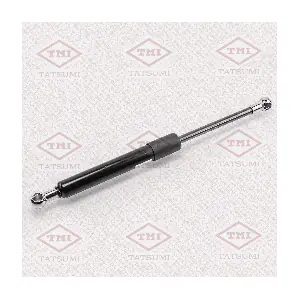 TAF1003 TATSUMI