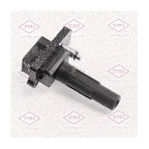 THG1055 TATSUMI
