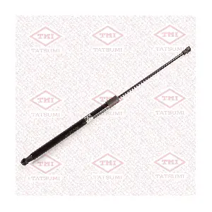TAF1076 TATSUMI
