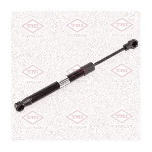 TAF1170 TATSUMI