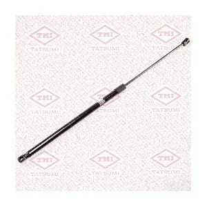TAF1206 TATSUMI