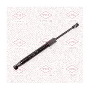 TAF1173 TATSUMI