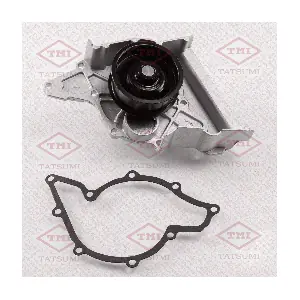 TATSUMI TGF1069