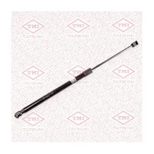 TATSUMI TAF1143