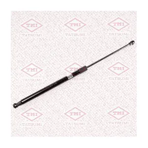 TAF1102 TATSUMI