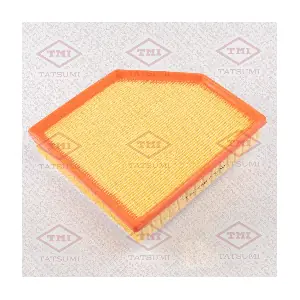 TBC1300 TATSUMI