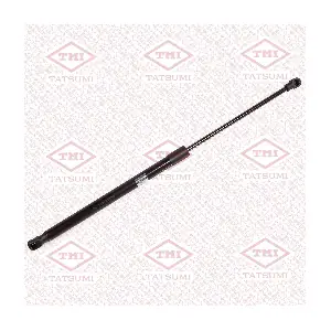 TAF1243 TATSUMI