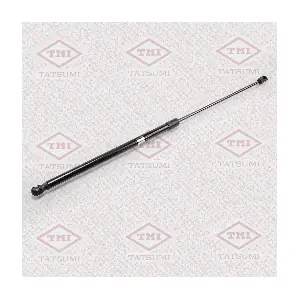 TAF1053 TATSUMI