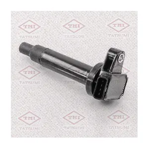 TATSUMI THG1024