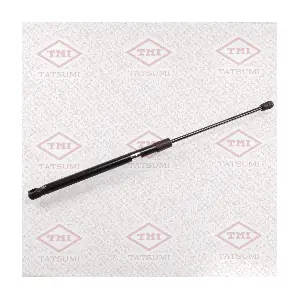 TATSUMI TAF1042