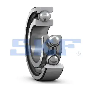 6201 SKF India