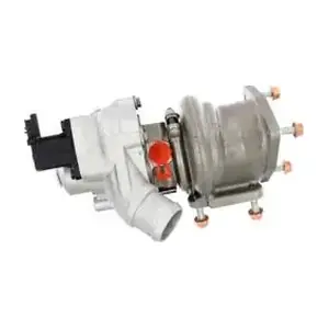 V754667580 BorgWarner