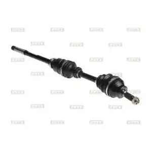 BOL-B031679 BOLK